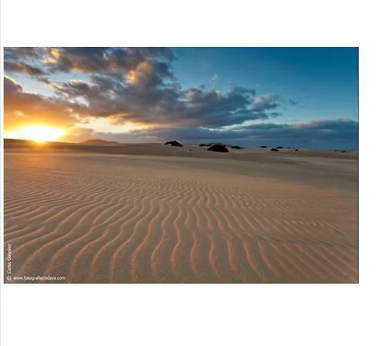 Phenix 公寓 科拉雷侯